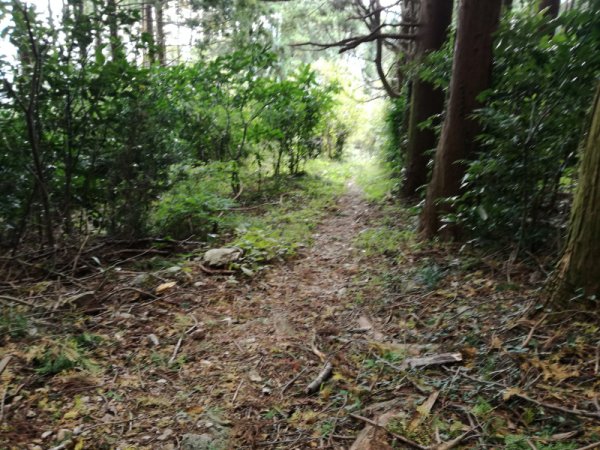 画像36
